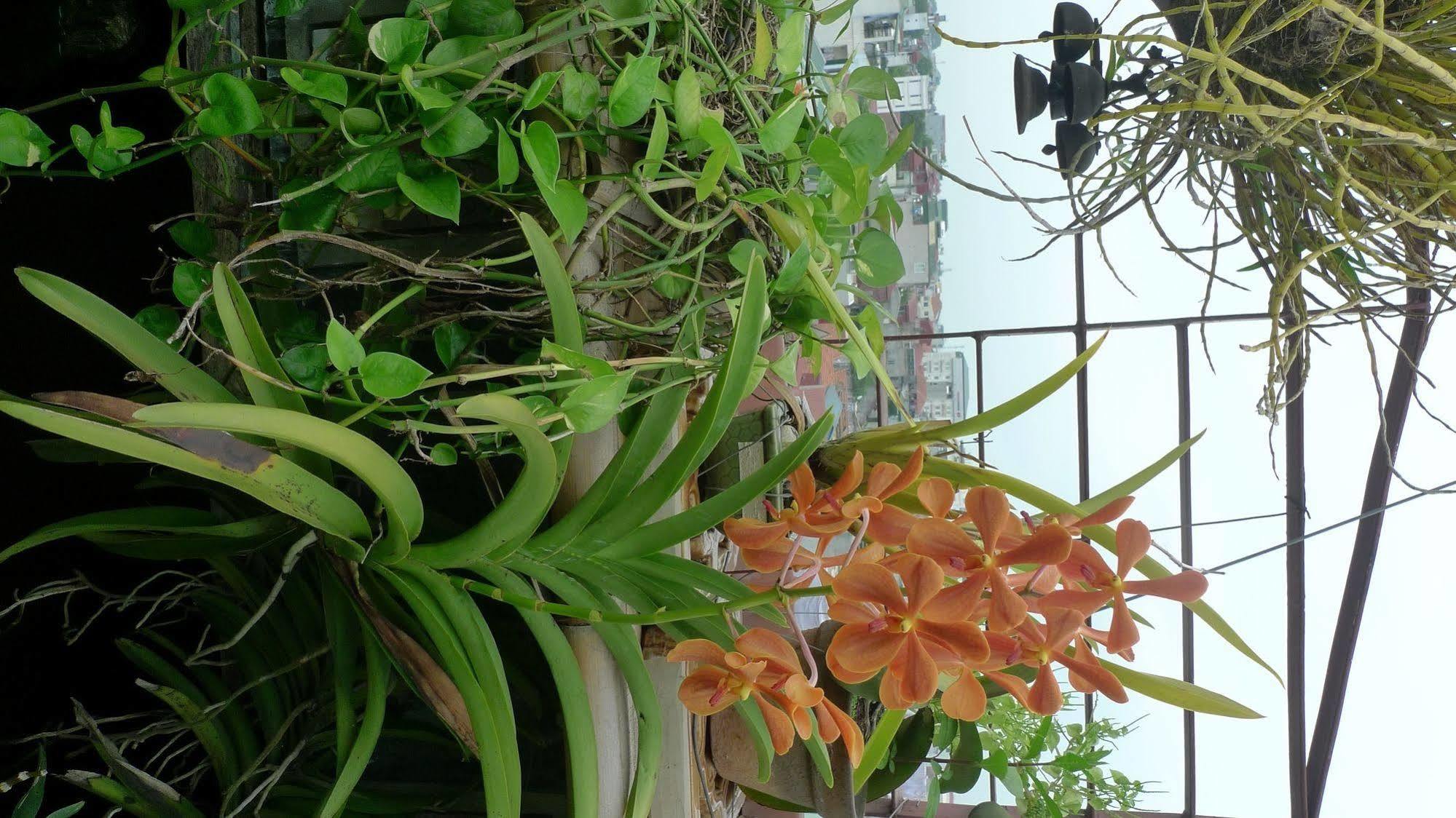 Hotel Garden Queen Hanoi Kültér fotó